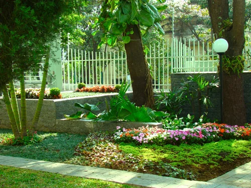 Manutenção de jardim em Santos - foto 2
