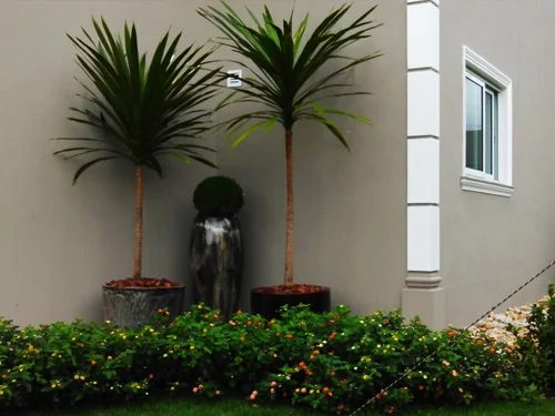 Manutenção de jardim em Santos - foto 3
