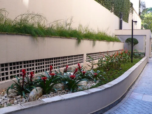 Manutenção de jardim em Santos - foto 5