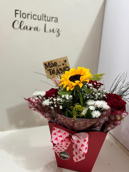 ARRANJOS NATURAIS EM SANTOS (12)